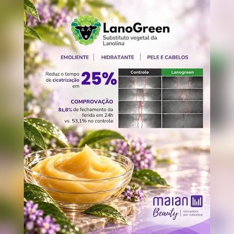maian_800x800
