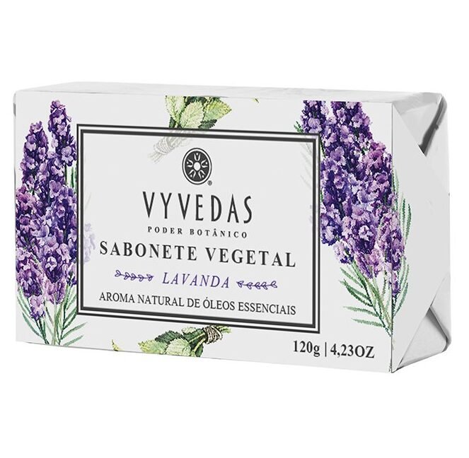 vyvedas-1