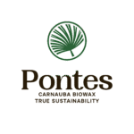 pontes