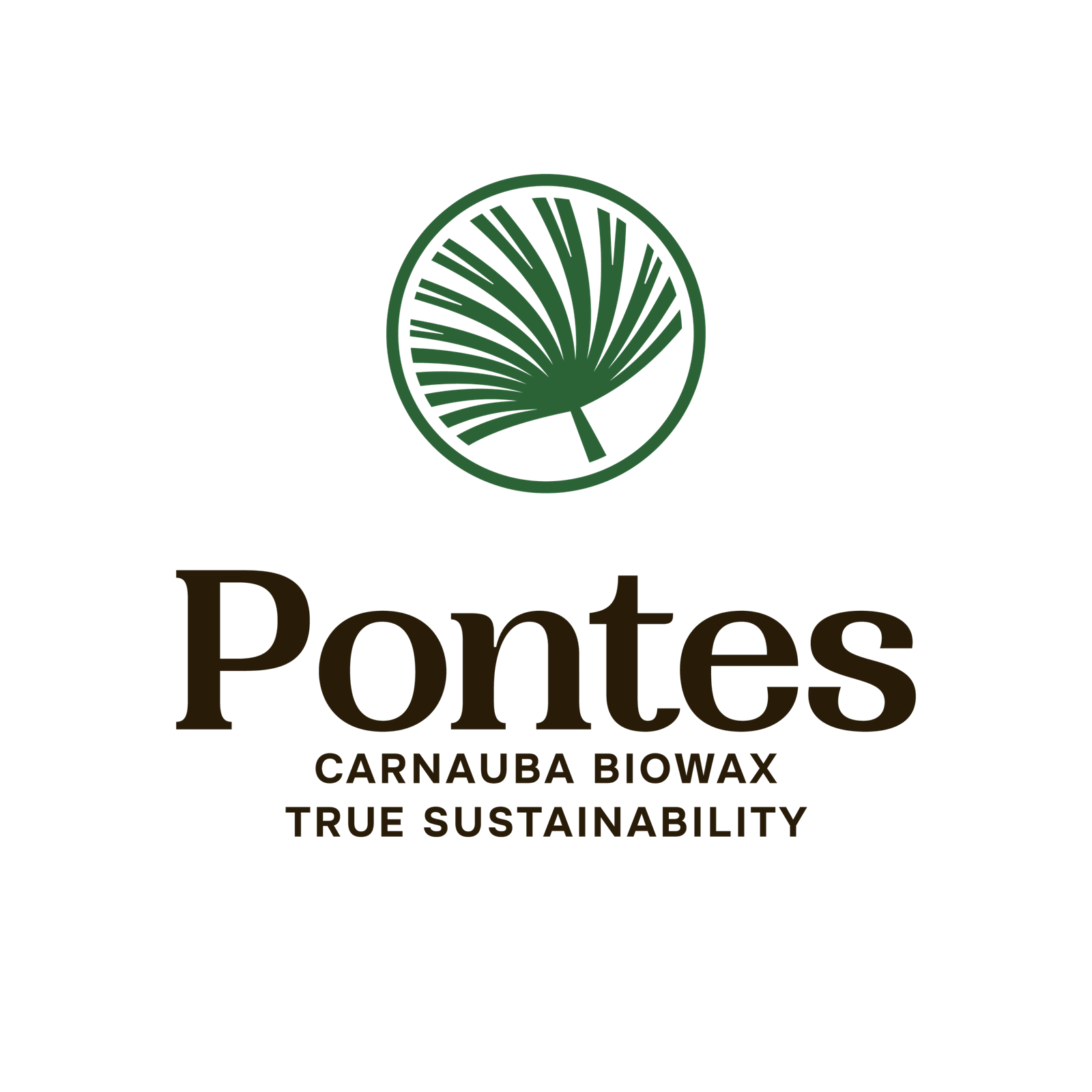 pontes