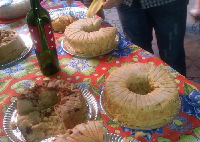 festa-junina-sao-paulo-II