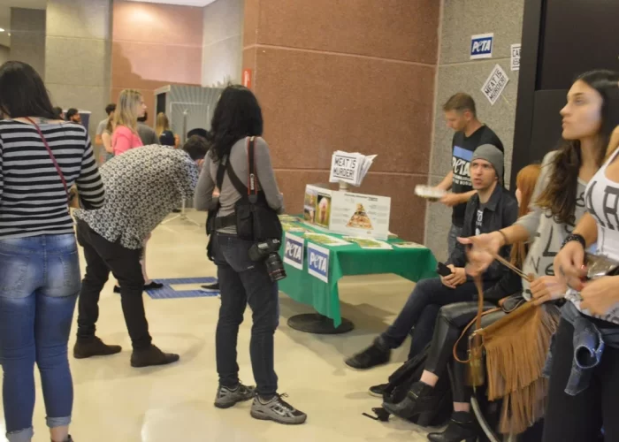 show-do-morrissey-teatro-renault-III