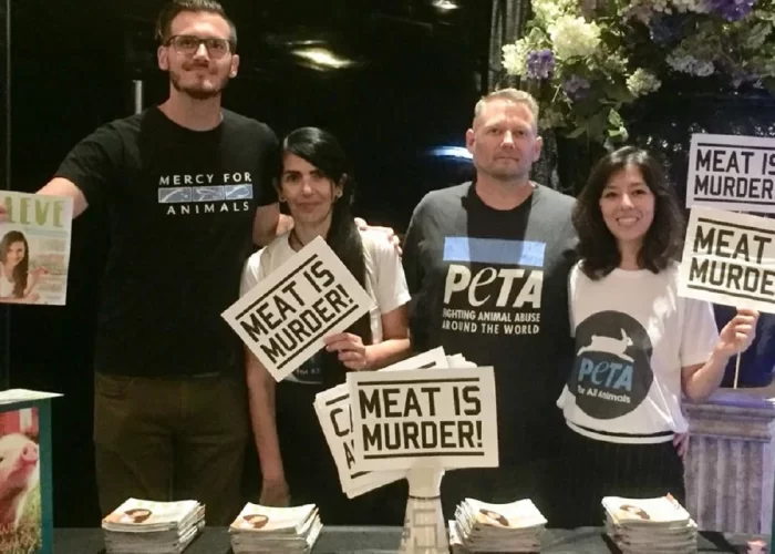 show-morrissey-espaco-das-americas-sao-paulo