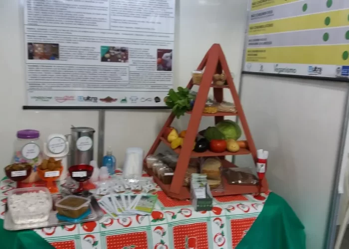 trabalho-feira-de-ciencias-colegio-campos-salles-rj